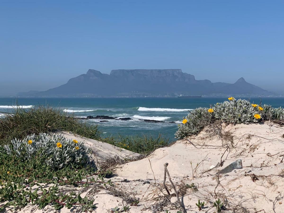 Colors Of Cape Town Lodge Bagian luar foto